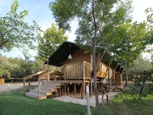 Veragua. Glamping y Apartamentos turísticos