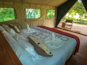 O Bona Moremi Safari Lodge