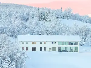 Aurora Borealis Observatory