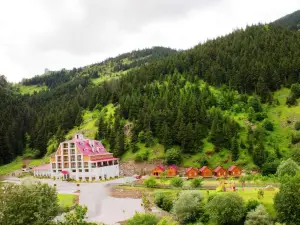 Hotel Green Valley Savsat