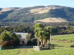 Hilltop Accommodation Catlins