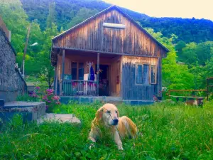 Discover Kinchkha