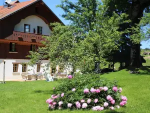 Le Tillau