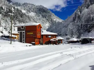 Ayder Avusor Hotel