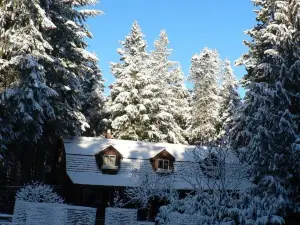 Cedar Song B&B