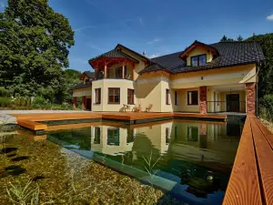 Vila Stary Mlyn