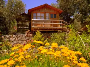 Olive Garden Kabak