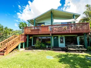 Backpackers Vacation Inn and Plantation Village