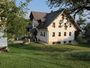 Tourist Farm Ljubica