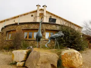 Allucant - Gallocanta