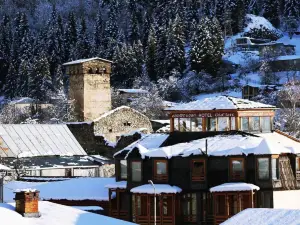 Hotel Old Seti