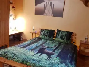 Au Grand Sapin Chambres Chez l'Habitant