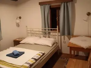 Pension Sava Turizam