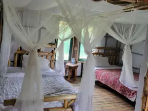 Songbird Safari Lodge & Campsite