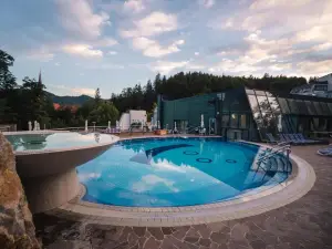 Hotel Švicarija - Terme Dobrna