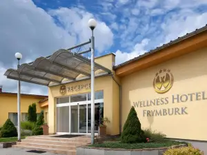 Wellness Hotel Frymburk