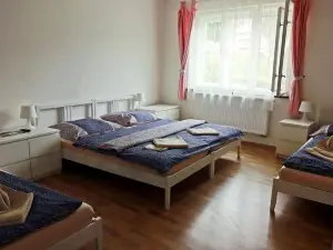 Ubytování Ledňáček