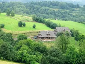 Maciejewka