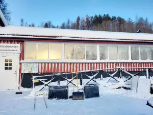 Kultsjögården-Saxnäs-Marsfjällen 9