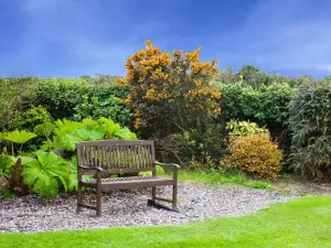 Sunville Bed and Breakfast