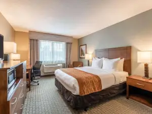 Comfort Inn & Suites