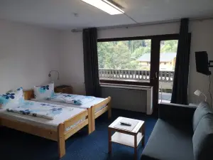 Hotel Finkenberg