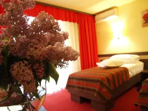 Hotel Dana