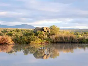 Umzolozolo Private Safari Lodge & Spa