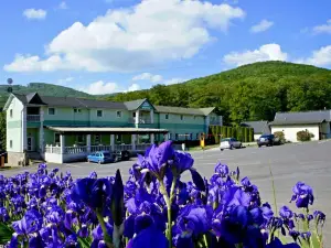 Hotel Biele Studničky Dargov