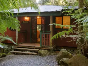 Springbrook Lyrebird Retreat