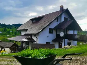 Casa Din Plai - Bucovina
