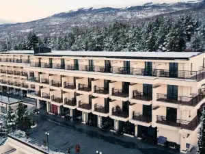 Inex Olgica Hotel & Spa