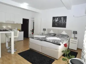 Apartment Jovana Nikšić