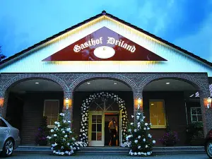 Hotel Driland