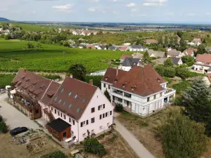Gîtes au Domaine Greiner