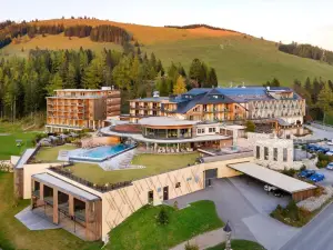Almwellness Hotel Pierer
