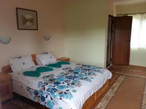 Guest House Friends