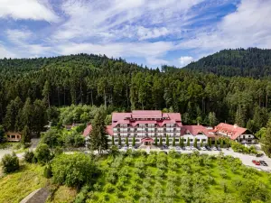 Q Resort and Spa