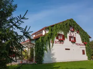 Pension Hotel Fast