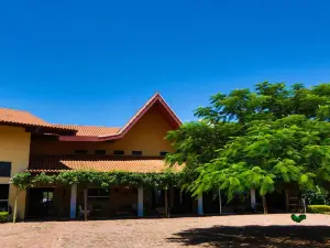 Hotel Thermas Bonsucesso