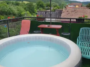 Vila la Izvorul Putinei