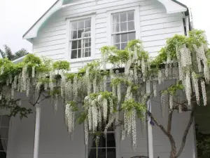 Paheke Boutique Lodge