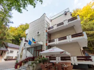 Former Ceausescu's Vila Crizantema