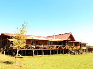 B&B Shambala HN