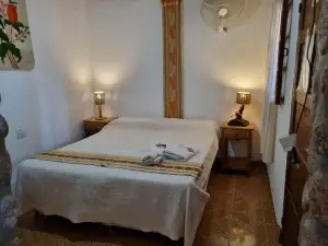 Cardones de Molinos