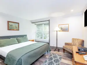 Mountainside Inn 113 by Alpine Lodging Telluride
