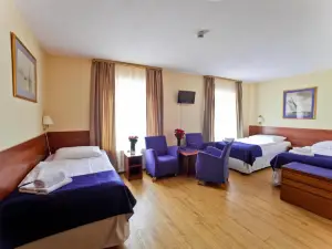 Apartamenty Pod Lwem