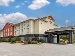 鱘魚瀑布舒適酒店