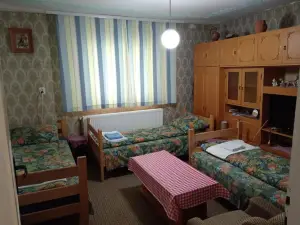 Std Verice Đorđević