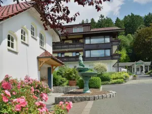 Hotel Zum weißen Stein